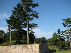 奈良県新公会堂敷地内